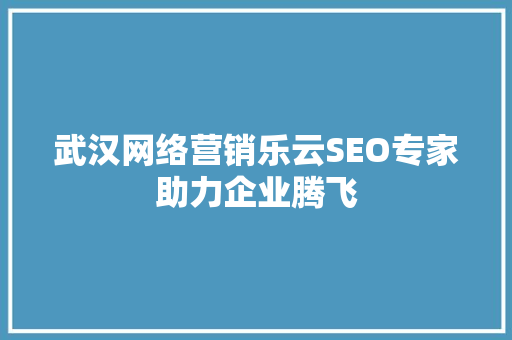 武汉网络营销乐云SEO专家助力企业腾飞