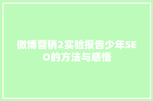 微博营销2实验报告少年SEO的方法与感悟
