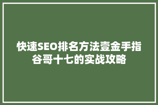 快速SEO排名方法壹金手指谷哥十七的实战攻略