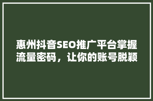 惠州抖音SEO推广平台掌握流量密码，让你的账号脱颖而出