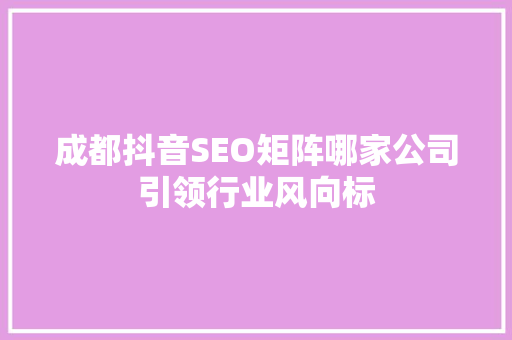 成都抖音SEO矩阵哪家公司引领行业风向标