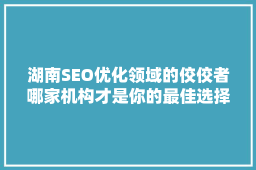 湖南SEO优化领域的佼佼者哪家机构才是你的最佳选择