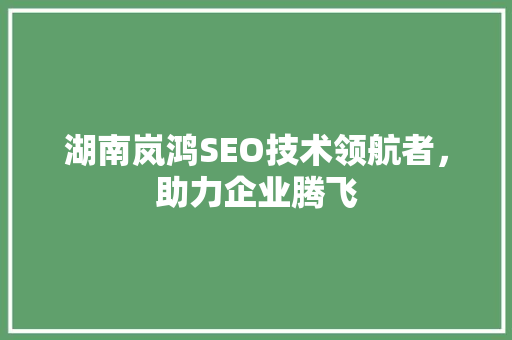 湖南岚鸿SEO技术领航者，助力企业腾飞