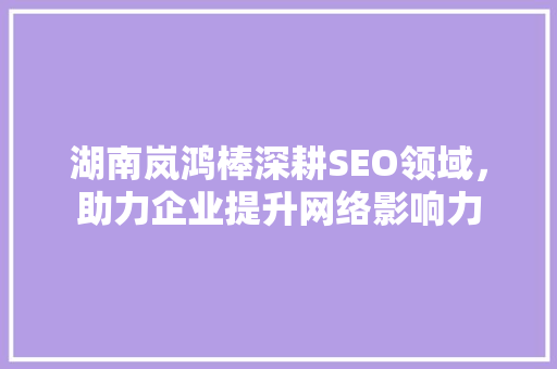 湖南岚鸿棒深耕SEO领域，助力企业提升网络影响力