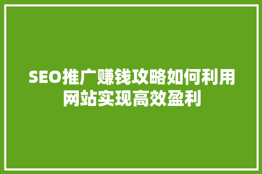 SEO推广赚钱攻略如何利用网站实现高效盈利