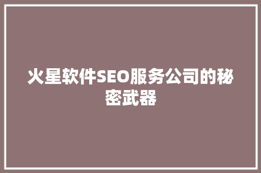 火星软件SEO服务公司的秘密武器