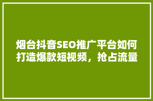烟台抖音SEO推广平台如何打造爆款短视频，抢占流量高地