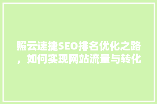 照云速捷SEO排名优化之路，如何实现网站流量与转化双丰收