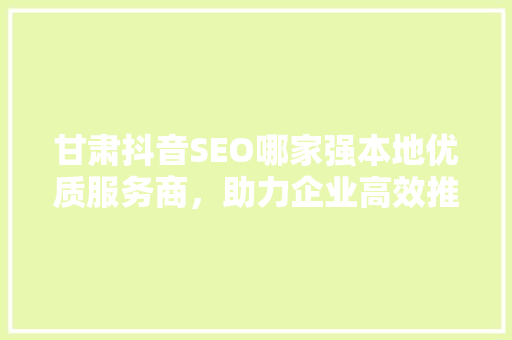甘肃抖音SEO哪家强本地优质服务商，助力企业高效推广