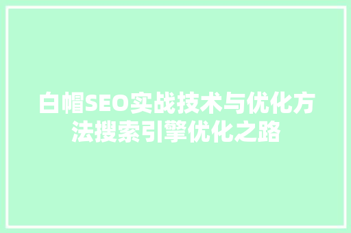 白帽SEO实战技术与优化方法搜索引擎优化之路