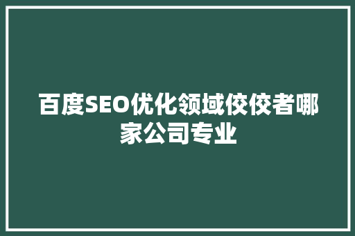 百度SEO优化领域佼佼者哪家公司专业