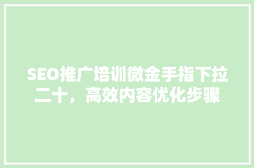 SEO推广培训微金手指下拉二十，高效内容优化步骤