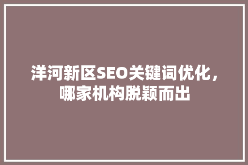 洋河新区SEO关键词优化，哪家机构脱颖而出