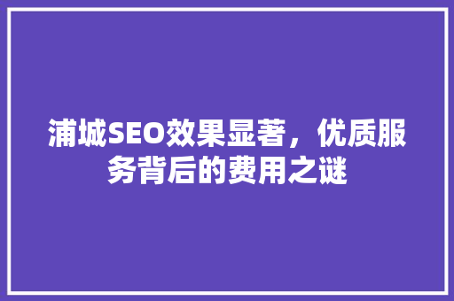 浦城SEO效果显著，优质服务背后的费用之谜