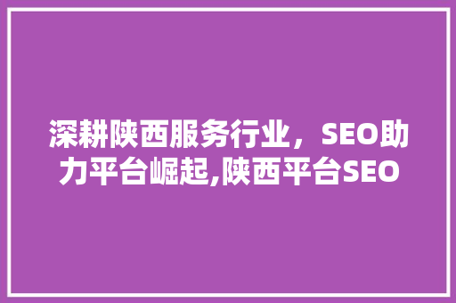深耕陕西服务行业，SEO助力平台崛起,陕西平台SEO优化之路