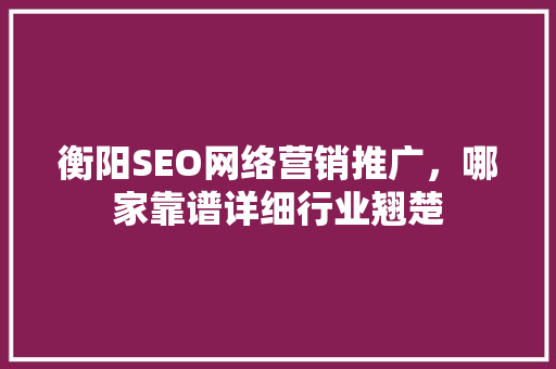 衡阳SEO网络营销推广，哪家靠谱详细行业翘楚