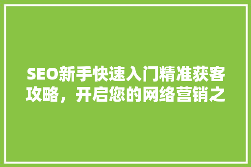 SEO新手快速入门精准获客攻略，开启您的网络营销之旅