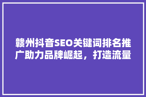 赣州抖音SEO关键词排名推广助力品牌崛起，打造流量高地