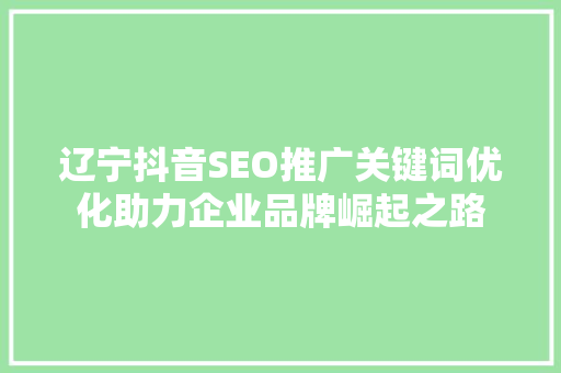 辽宁抖音SEO推广关键词优化助力企业品牌崛起之路
