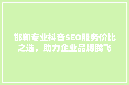 邯郸专业抖音SEO服务价比之选，助力企业品牌腾飞