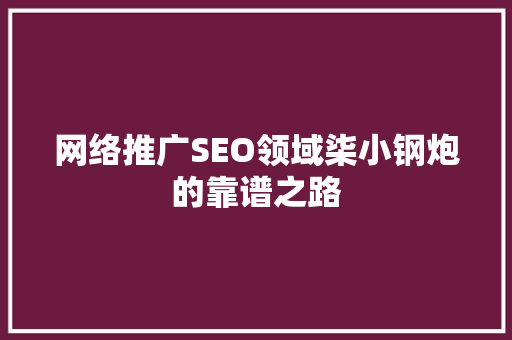 网络推广SEO领域柒小钢炮的靠谱之路