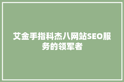艾金手指科杰八网站SEO服务的领军者
