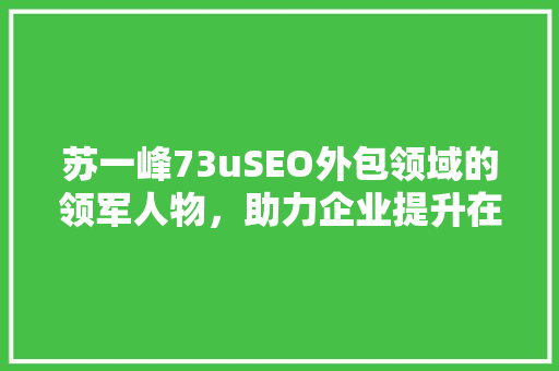 苏一峰73uSEO外包领域的领军人物，助力企业提升在线竞争力