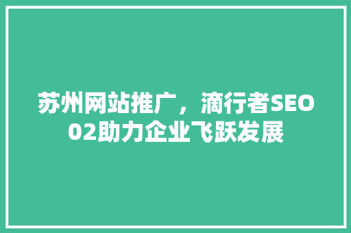 苏州网站推广，滴行者SEO02助力企业飞跃发展