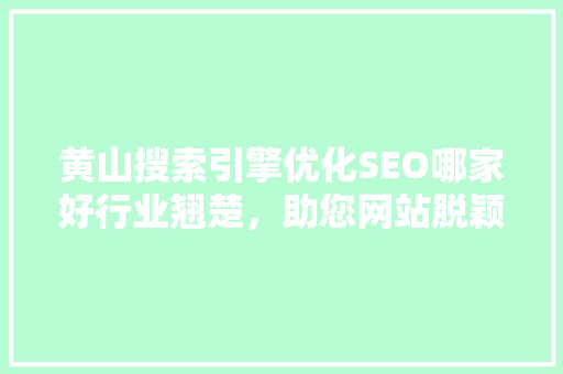 黄山搜索引擎优化SEO哪家好行业翘楚，助您网站脱颖而出