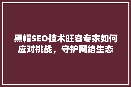 黑帽SEO技术旺客专家如何应对挑战，守护网络生态