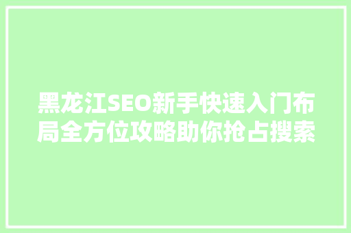 黑龙江SEO新手快速入门布局全方位攻略助你抢占搜索引擎高地