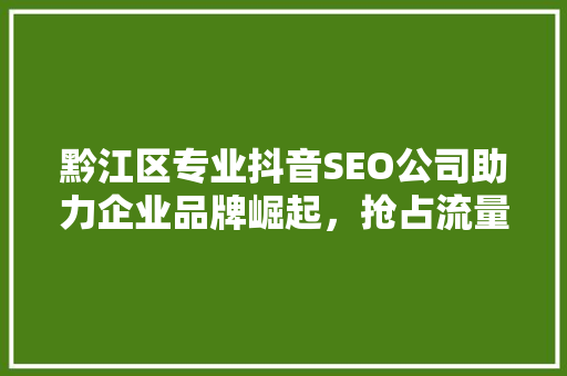 黔江区专业抖音SEO公司助力企业品牌崛起，抢占流量高地