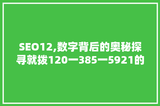 SEO12,数字背后的奥秘探寻就拨120一385一5921的SEO步骤