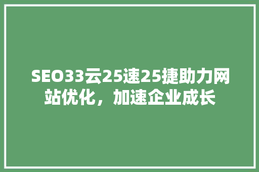 SEO33云25速25捷助力网站优化，加速企业成长