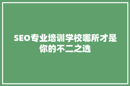 SEO专业培训学校哪所才是你的不二之选