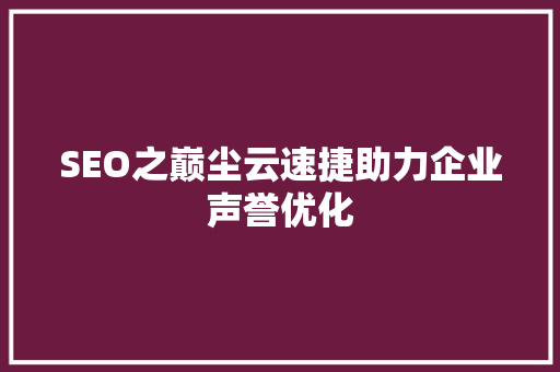 SEO之巅尘云速捷助力企业声誉优化