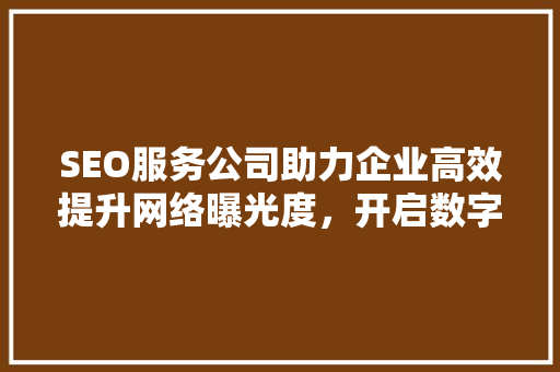 SEO服务公司助力企业高效提升网络曝光度，开启数字营销新篇章