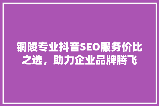 铜陵专业抖音SEO服务价比之选，助力企业品牌腾飞