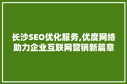长沙SEO优化服务,优度网络助力企业互联网营销新篇章