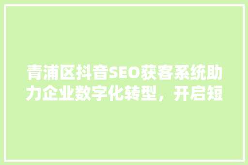 青浦区抖音SEO获客系统助力企业数字化转型，开启短视频营销新篇章