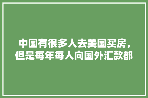 SEO2氧化剂其在催化领域的独特魅力与应用前景