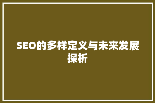 SEO的多样定义与未来发展探析