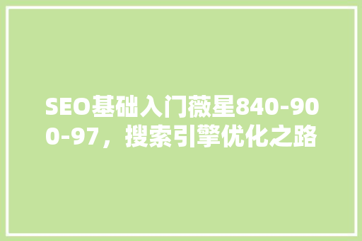 SEO基础入门薇星840-900-97，搜索引擎优化之路