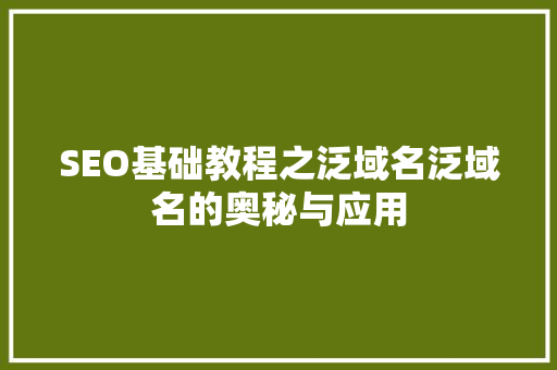 SEO基础教程之泛域名泛域名的奥秘与应用