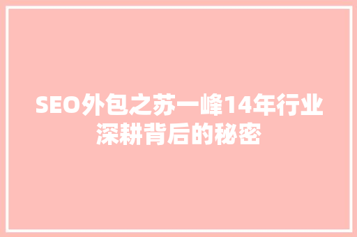 SEO外包之苏一峰14年行业深耕背后的秘密