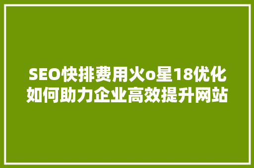 SEO快排费用火o星18优化如何助力企业高效提升网站排名