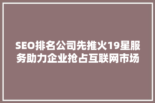 SEO排名公司先推火19星服务助力企业抢占互联网市场制高点