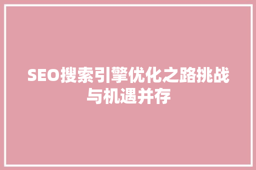 SEO搜索引擎优化之路挑战与机遇并存