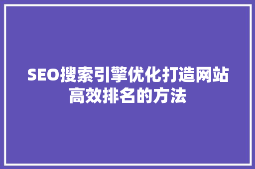 SEO搜索引擎优化打造网站高效排名的方法