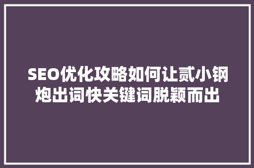 SEO优化攻略如何让贰小钢炮出词快关键词脱颖而出